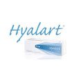 Hyalart® Injektionslösung Fertigspritze